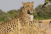 3 days safari from Arusha