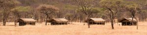 Serengeti Kati Kati Tented Camp Layout