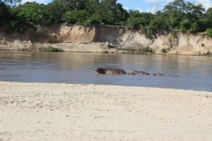 Southern Tanzania Safari Selous