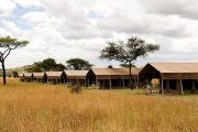 Serengeti Kati Kati Tented Camp