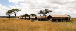 Serengeti Kati Kati Tented Camp