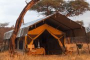 Serengeti Kati Kati Camp tents