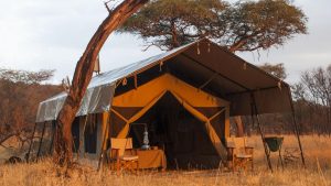 Serengeti Kati Kati Camp tents