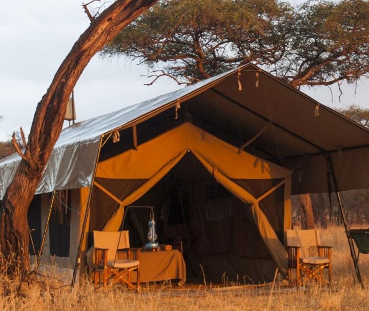 Serengeti Kati Kati Camp tents