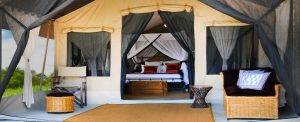 Serengeti Tortilis Camp, Tanzania