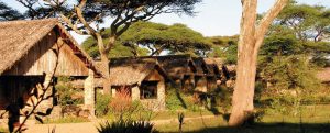 Ndutu Safari Lodge Rooms