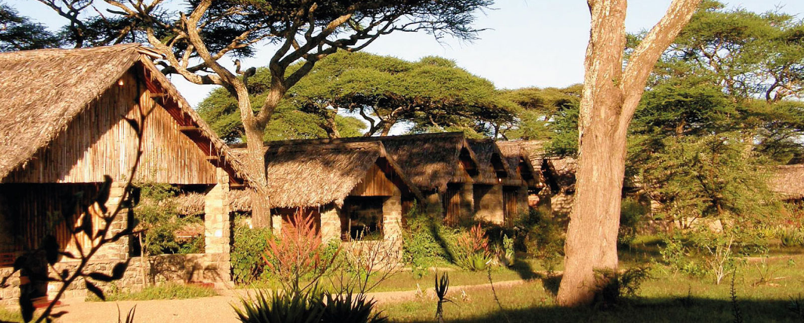 Ndutu Safari Lodge, Ngorongoro Conservation Area