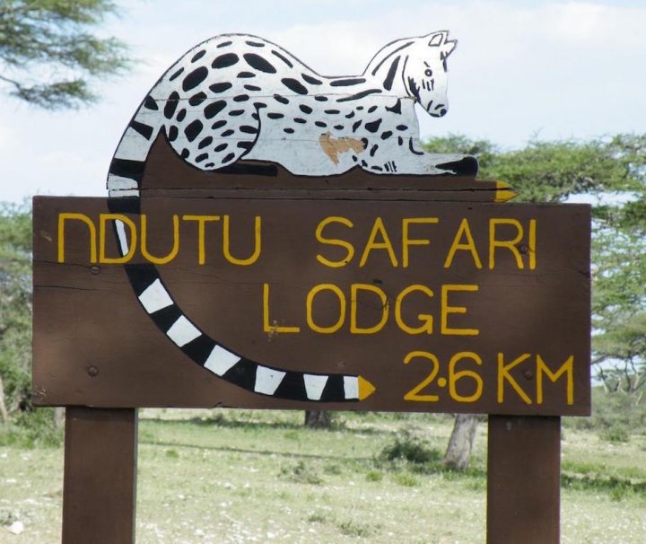 Ndutu Safari Lodge