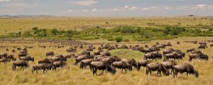 where to fly to Tanzania