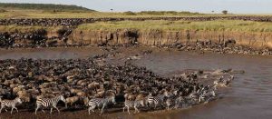 Tanzania Safari Serengeti