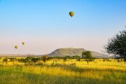 Tanzania Safari Serengeti Tour