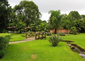 Arumeru river lodge lawns