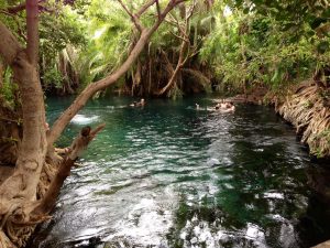 Kikuletwa Hot Springs Tanzania