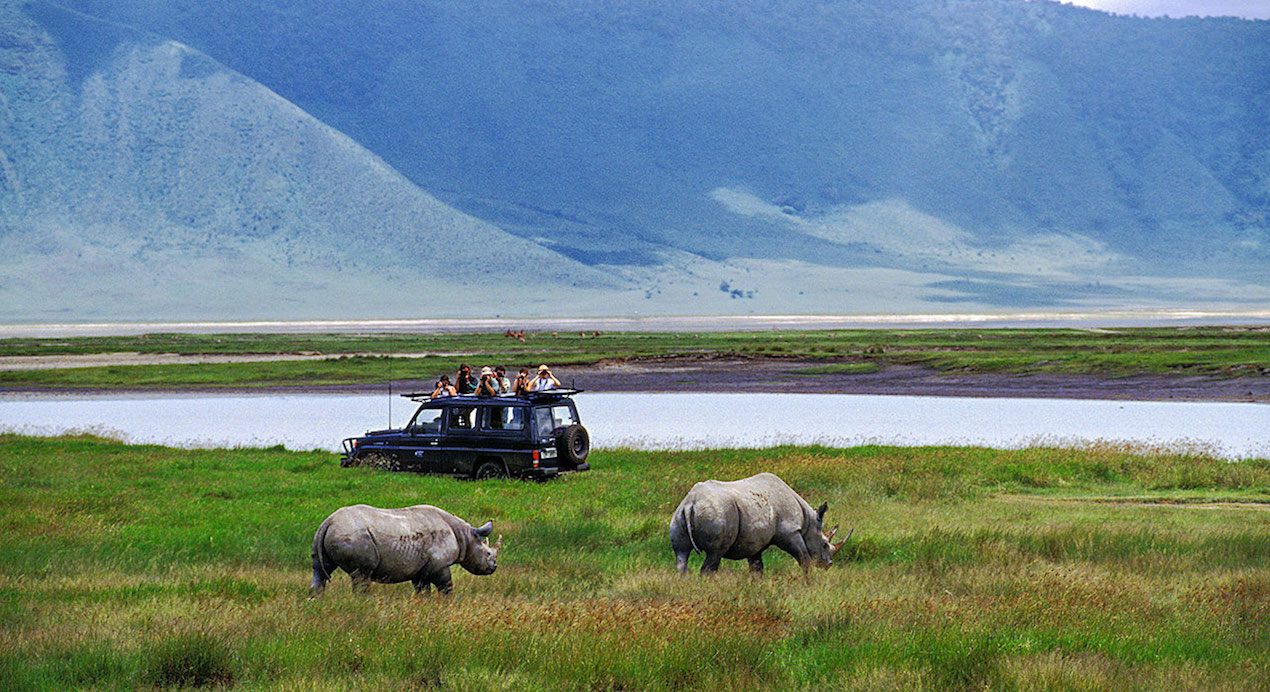 3 day safari Tanzania from Zanzibar beach