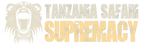 Tanzania Safari logo