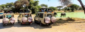 Tanzania safari supremacy