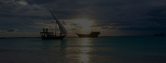 Serengeti safari Zanzibar beach