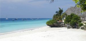 The best beaches of Zanzibar