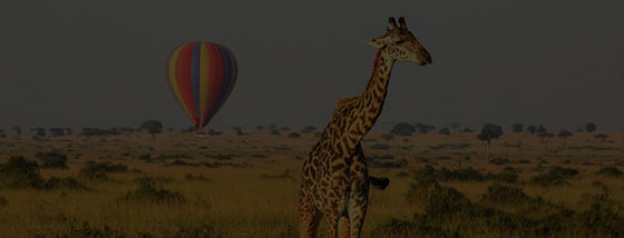 10 days Kenya Tanzania safari