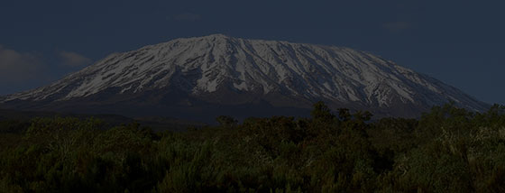 Mount Kilimanjaro and Safari