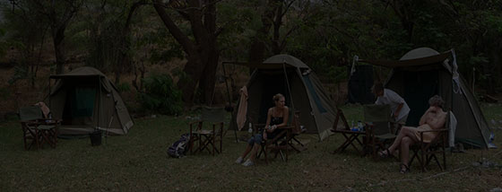 camping safari