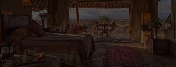 serengeti tortillis camp