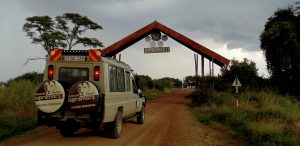 safari car land cruiser