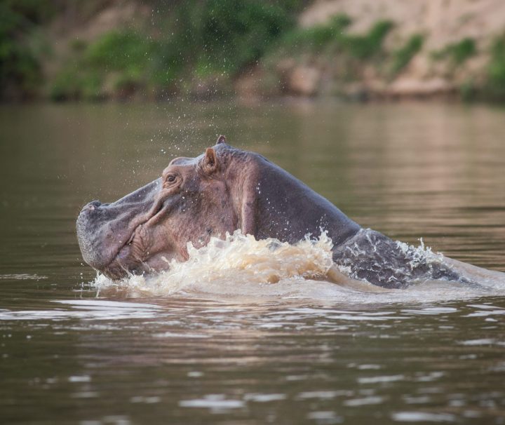 3 days selous safari from zanzibar island