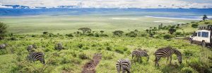 Ngorongoro Crater Tanzania