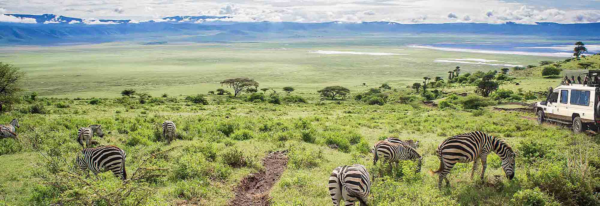 Ngorongoro Conservation Area | Ngorongoro Crater