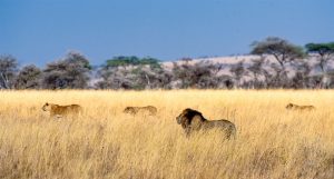 best time to travel tanzania