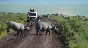 10 days Tanzania safari Ngorongoro