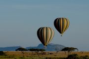 Serengeti hot air balloon safari