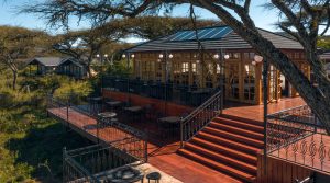 Ngorongoro Accommodation Lion Paws