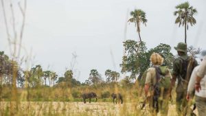 Walking Safari South Tanzania