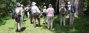 walking safaris Tanzania