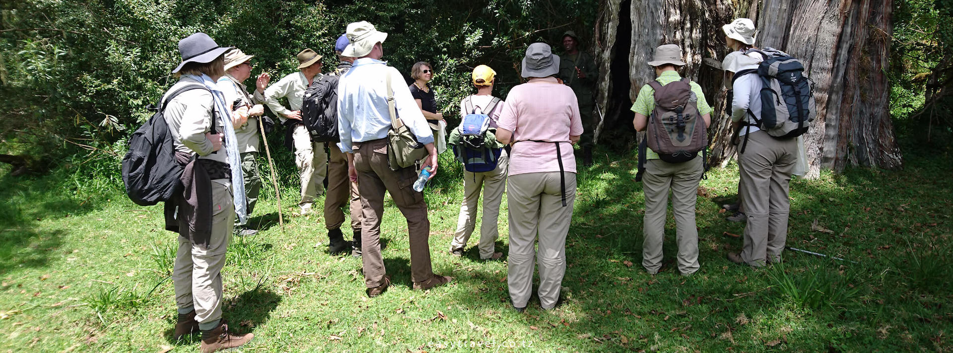 Walking Safaris in Tanzania | Best places for Walking Safari in Tanzania