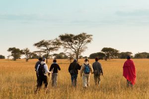 walking safari Tanzania