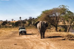 4 days safari tanzania