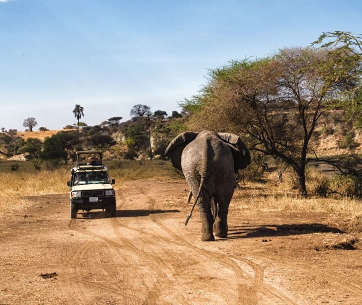 4 days safari tanzania