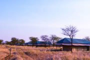 Osinon Serengeti Camp accommodation