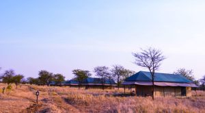 Osinon Serengeti Camp accommodation