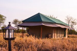 Osinon Camp Serengeti