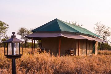 Osinon Camp Serengeti