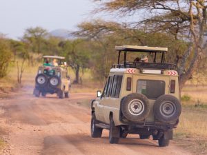 Typical day on safari Tanzania Africa