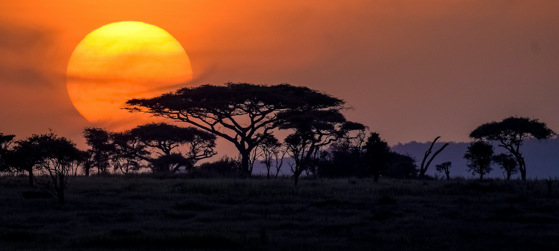 What is a Typical day on Tanzania safari?