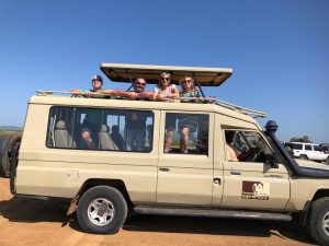 Safari Cars for Game Viewing