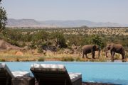 6 day Tanzania Luxury Safari Tour