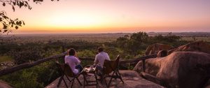 Tips Honeymoon Tanzania safari