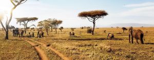 15 reasons why to visit Tanzania